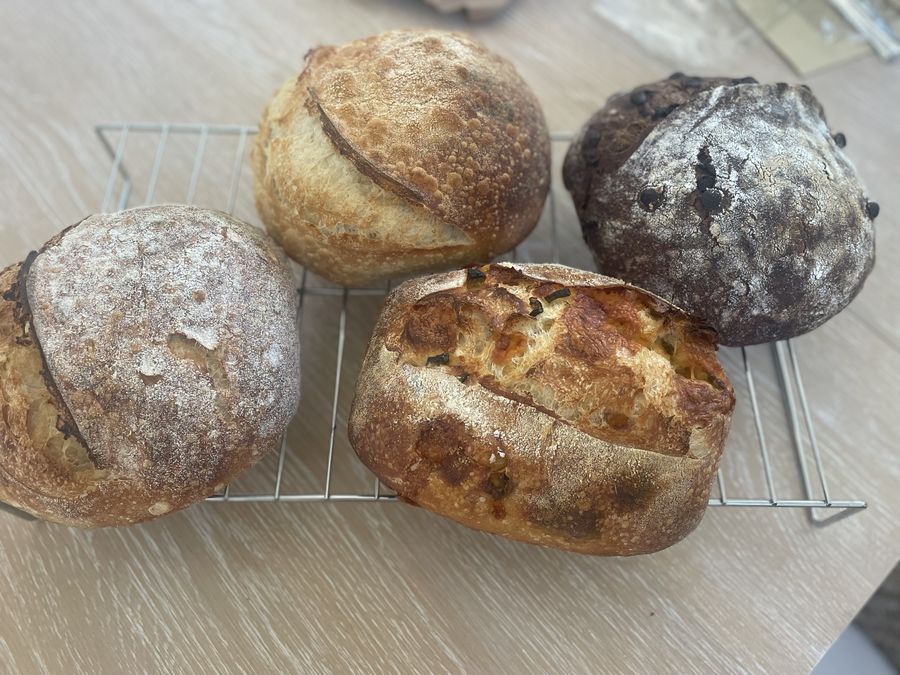 Four freshly baked sourdough loaves cooling on a rack